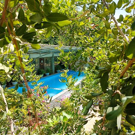 Silk Island Homestay Phnom Pen Exterior foto