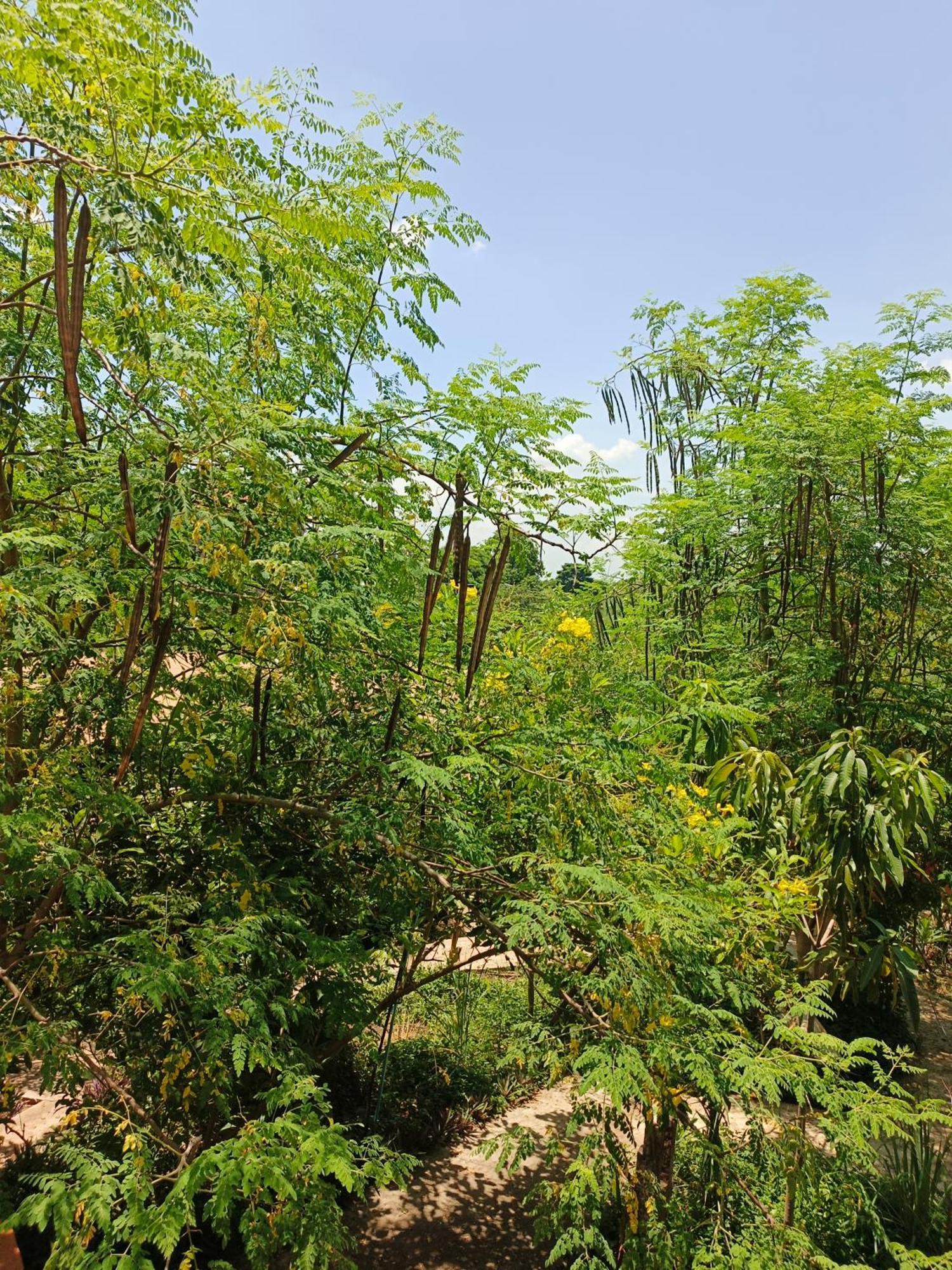 Silk Island Homestay Phnom Pen Exterior foto